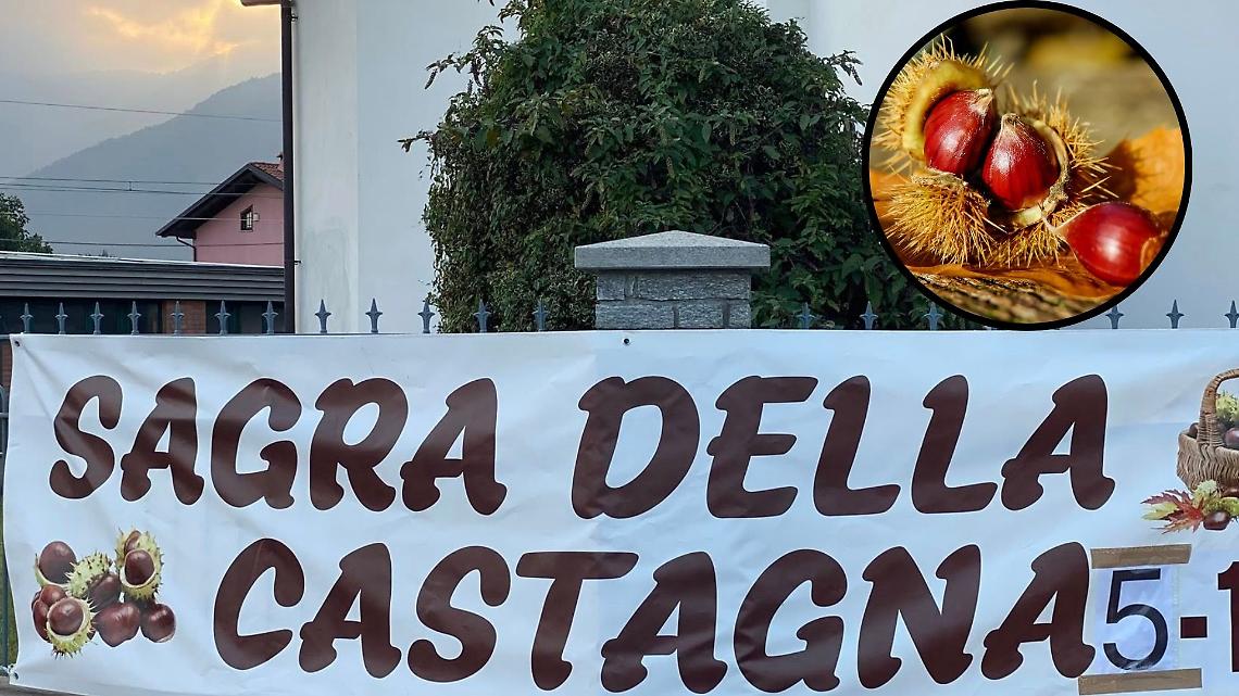 Dodici quintali di castagne