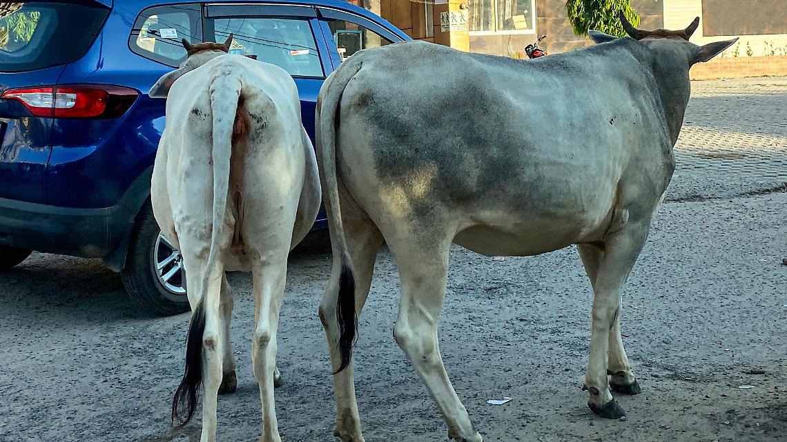 Leinì come Pamplona