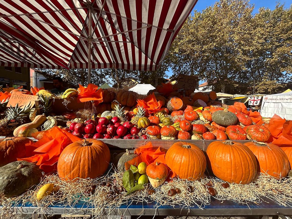 Brandizzo festeggia i 28 anni della Sagra della Zucca: due giorni di gusto e tradizione