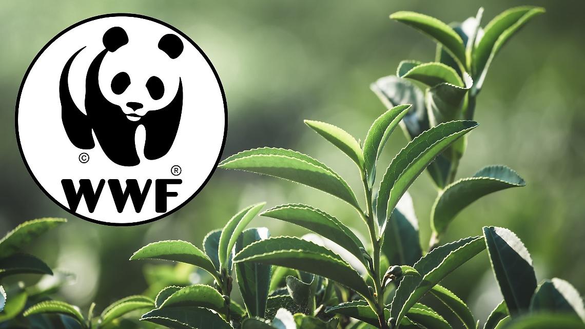 Crisi climatica e agricoltura al collasso: il WWF lancia l’allarme nella Giornata Mondiale dell’Alimentazione