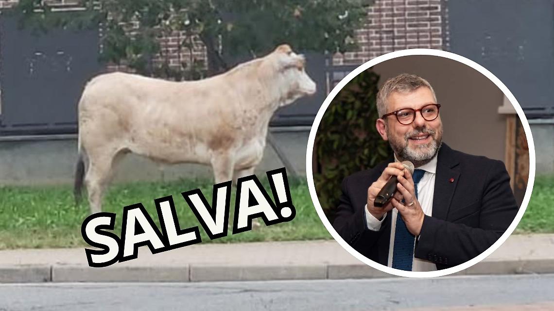 Leini si mobilita per “Torella”