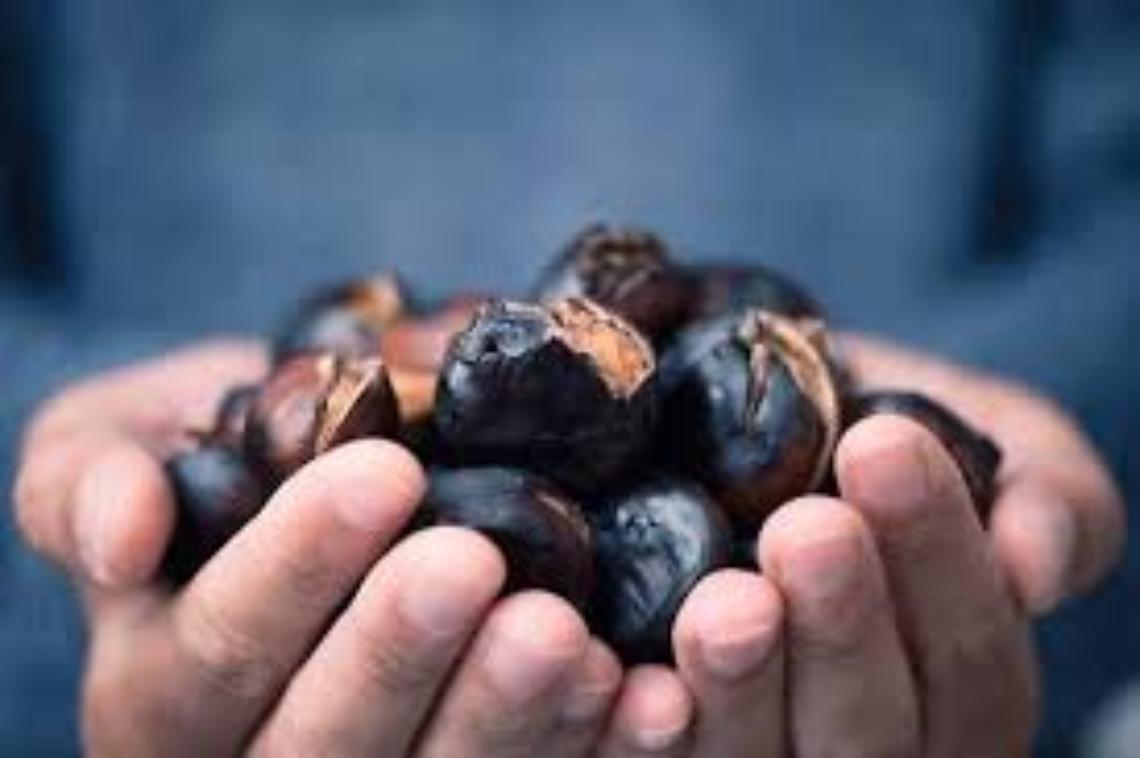 La Magia dell’Autunno a Favria