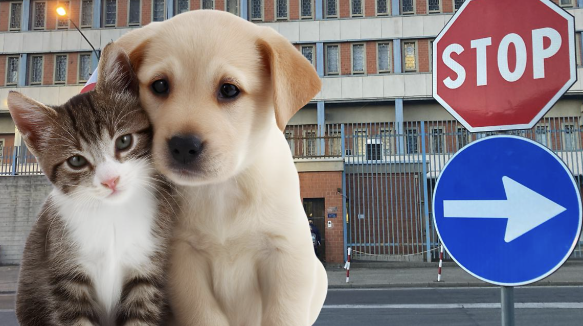 Carcere di Ivrea, il pensionato trattato come un cane. Ma per i gatti galeotti la porta resta sempre aperta.