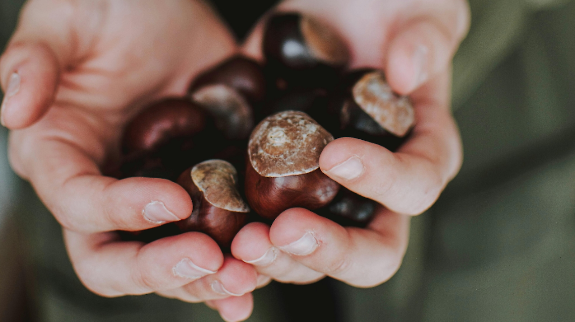 A Leini l’autunno unisce: castagne, comunità e attenzione agli anziani