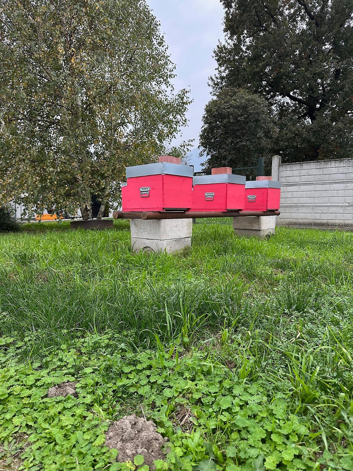Dal ferro al miele: la rivoluzione sostenibile di ABCI Srl