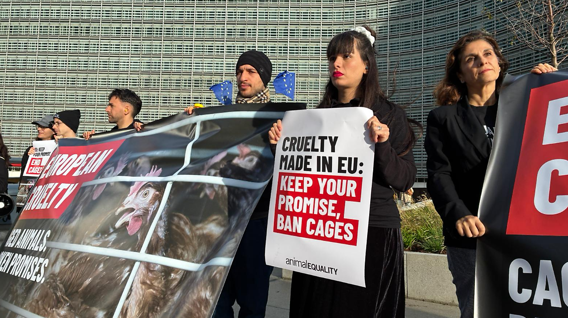 Bruxelles, la Commissione Ue