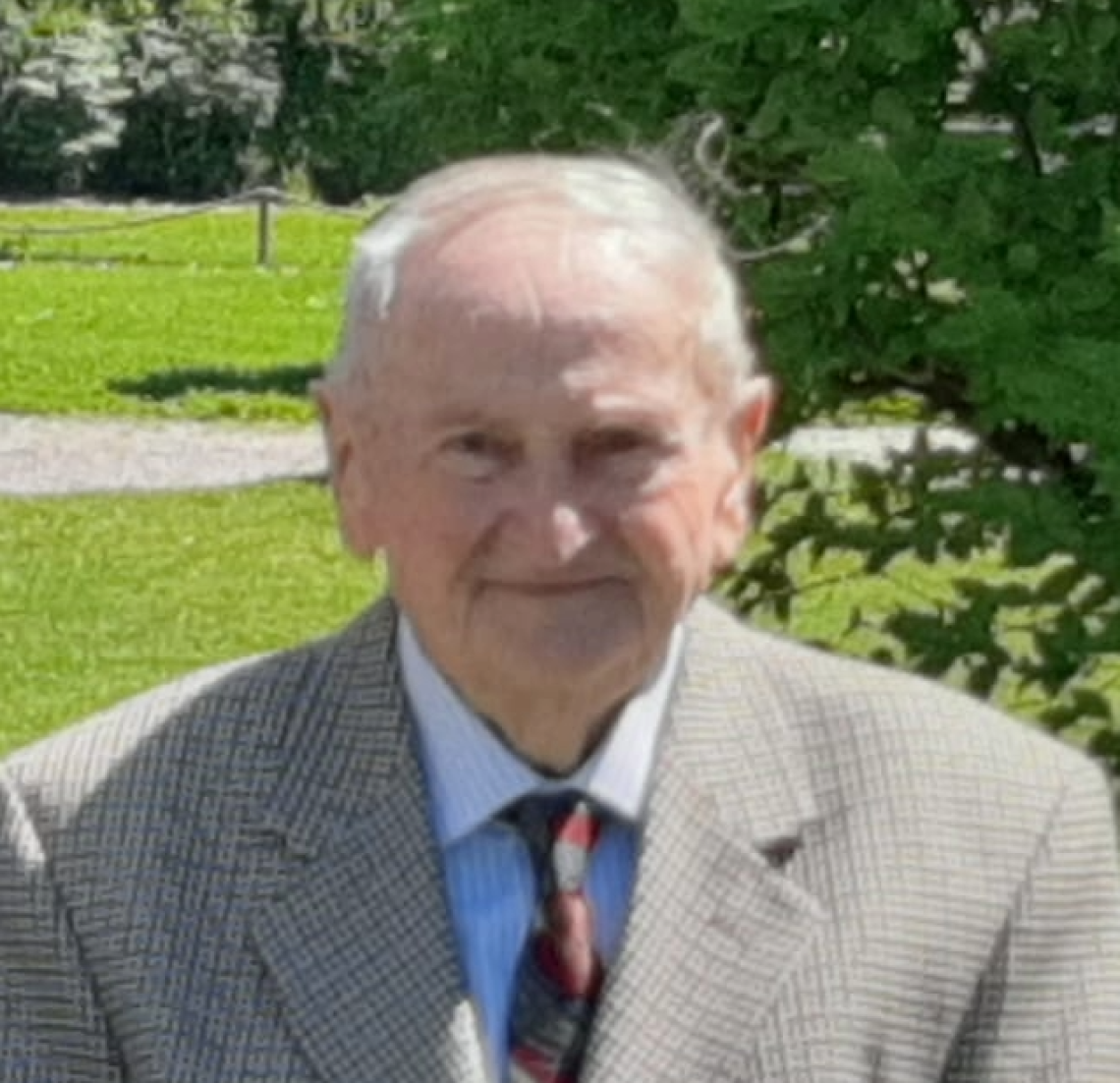 Domenico Clara