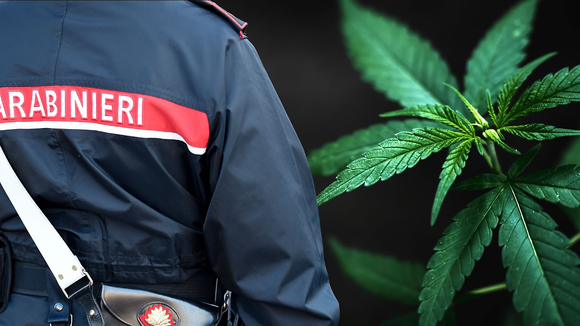 Droga nel cortile di elementari e infanzia: genitori sotto choc a Borgo Revel