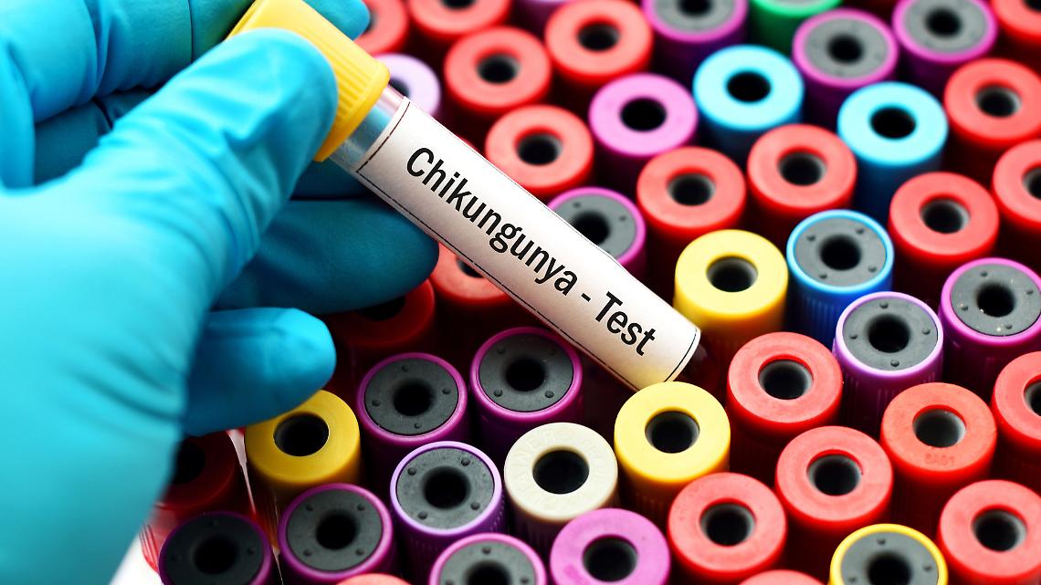 Chikungunya, dal 30 ottobre arriva in Italia il primo vaccino: una svolta contro il virus della zanzara tigre