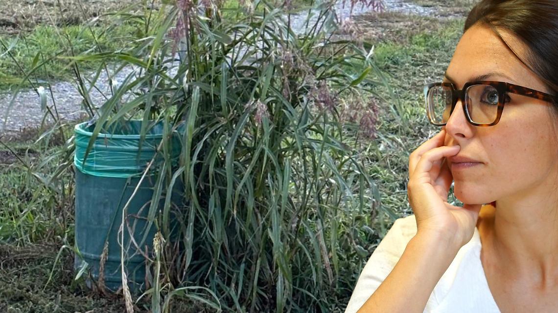 Via De Francisco, arriva il taglio dell’erba: ma è uno scherzo