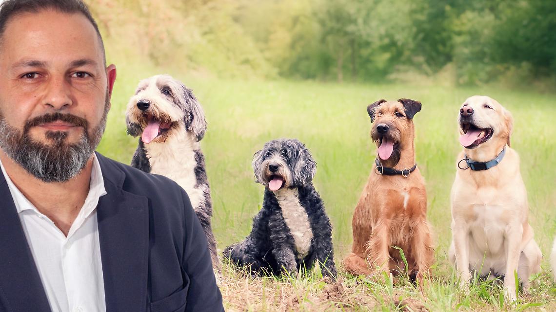 Cani liberi in via Nino Costa: Fratelli d’Italia chiede un’area recintata