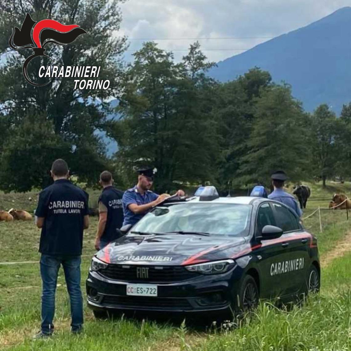 Maxi controlli tra Torino, Moncalieri, Rivoli, Venaria, Settimo e il Canavese: lavoro nero e aziende sospese