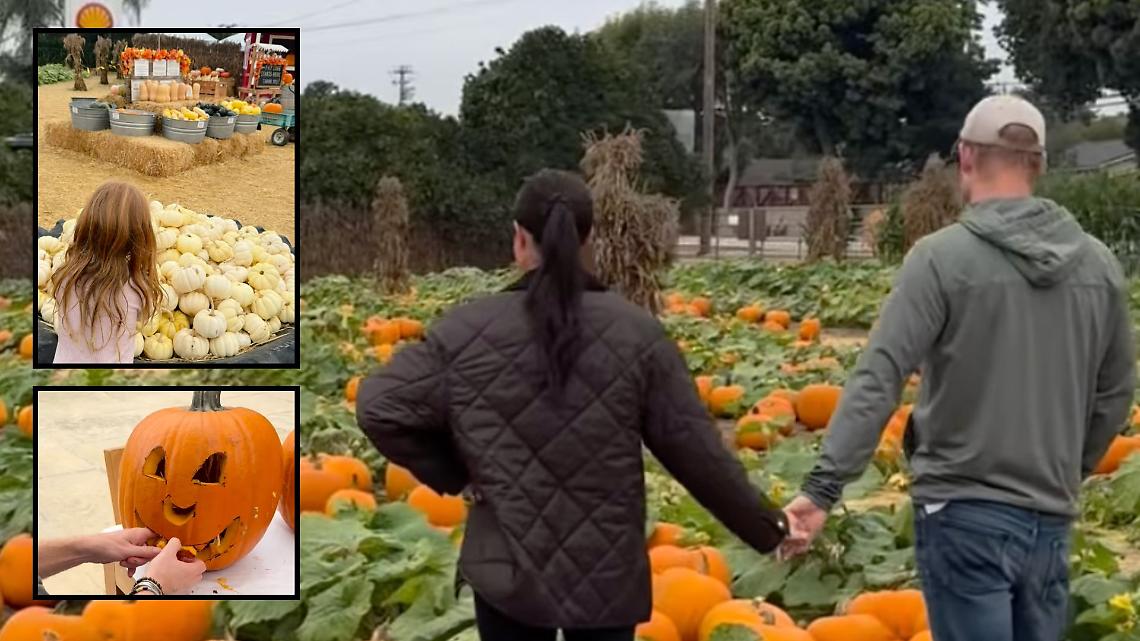 I duchi di Sussex: tra zucche