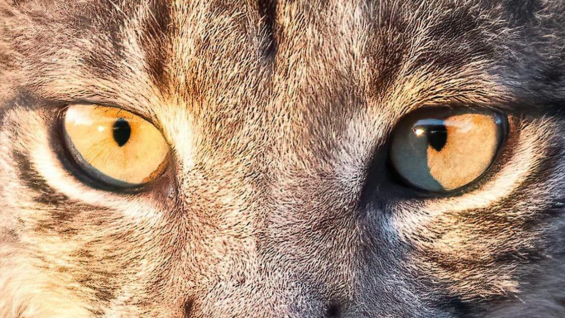 Parco del Gran Paradiso