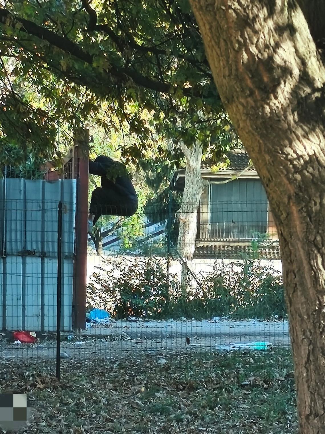 Torino, tra via Cigna e via Sempione nasce il “Tossic Park”: la denuncia