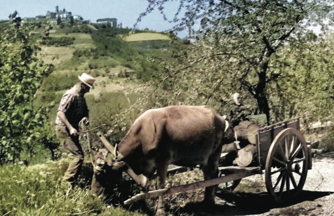 A Muriaglio la cultura si fa di prossimità: libri, memoria e vita di paese
