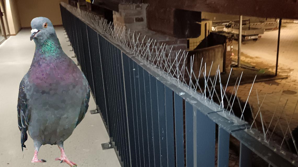 Cascina Nuova, corrimano con aghi metallici fuori dall'aula studio: scoppia la polemica. "Sono pericolosi!"