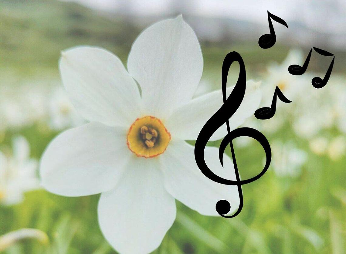 Il coro "I Piccoli Cantori della Valle Sacra" è nato a Cintano nel 2018