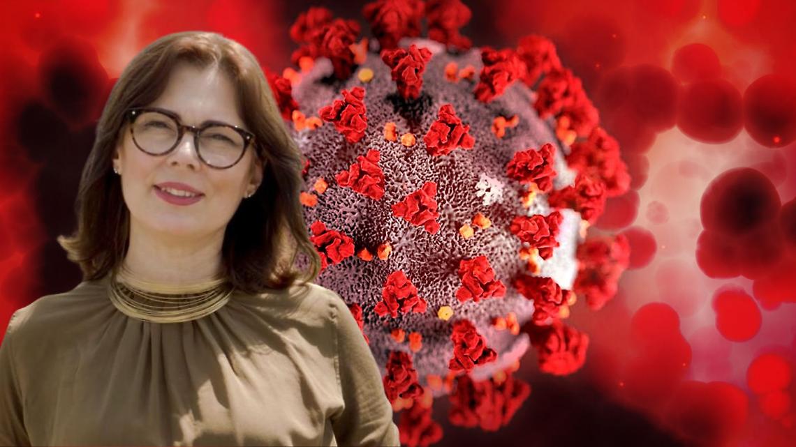 West Nile Virus, il Pd contro Cirio: "Regione arriva tardi e senza una vera strategia per il 2026"