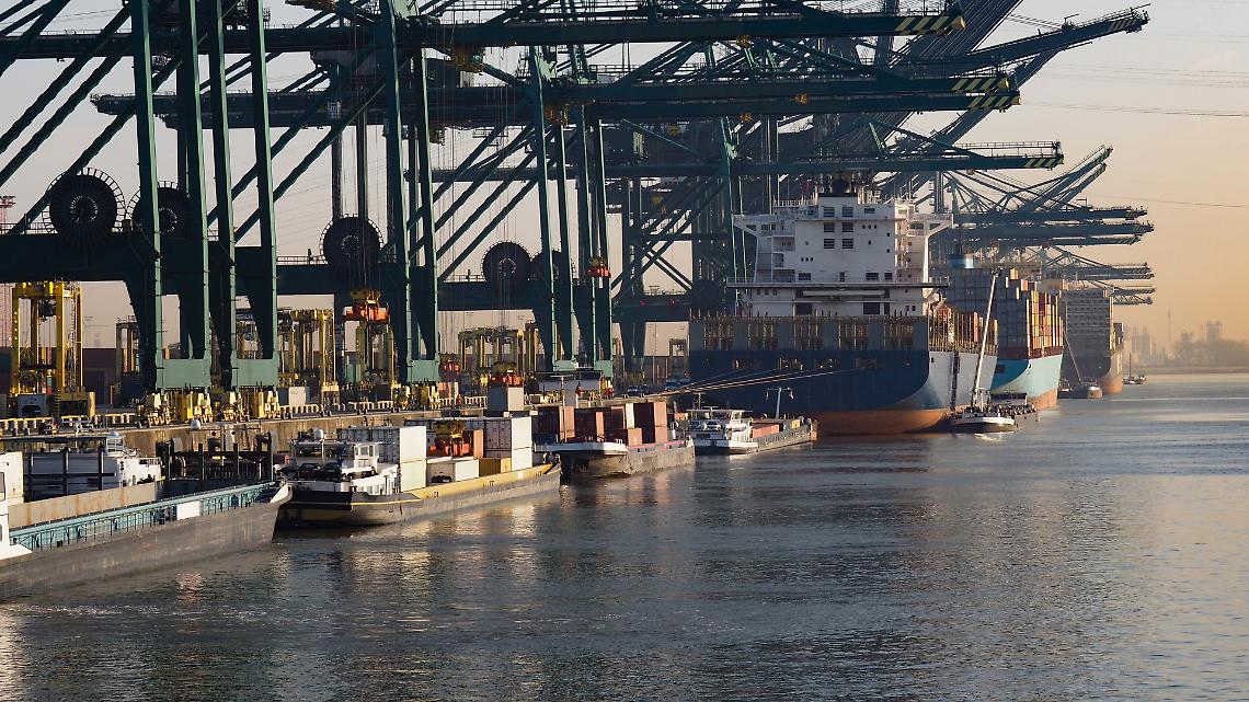 NON TOCCARE Belgio sotto assedio: la lunga ombra del narcotraffico nel cuore d’Europa