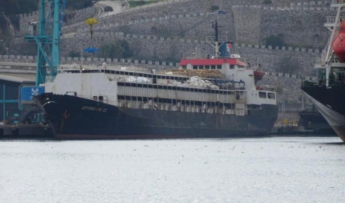 “Rotte di carta”: 2.900 bovini alla deriva sulla Spiridon II, respinti a Bandırma e spediti indietro