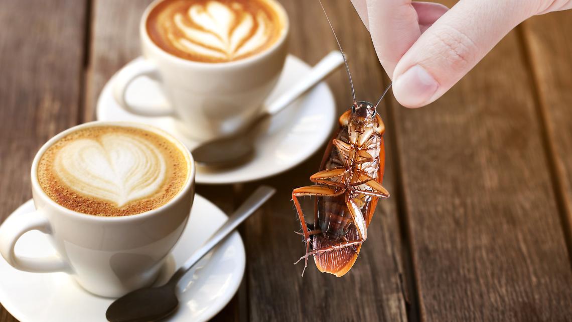 Scarafaggi nel cappuccino: la Cina lo serve davvero, l’Europa si prepara a vomitare