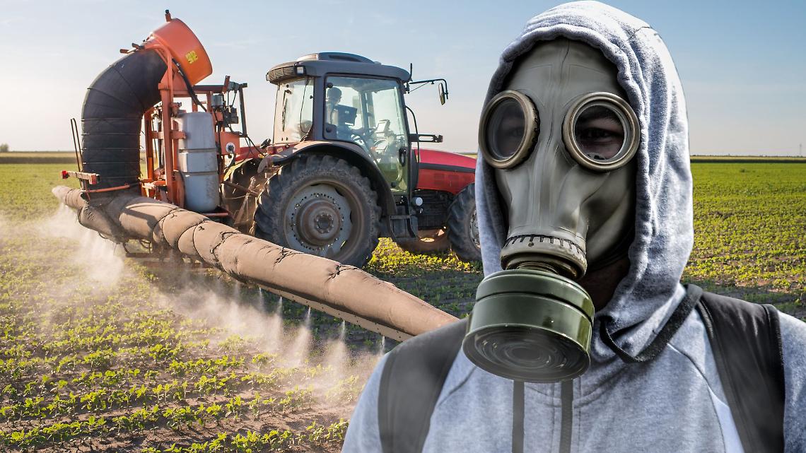 Sette anni per inquinare