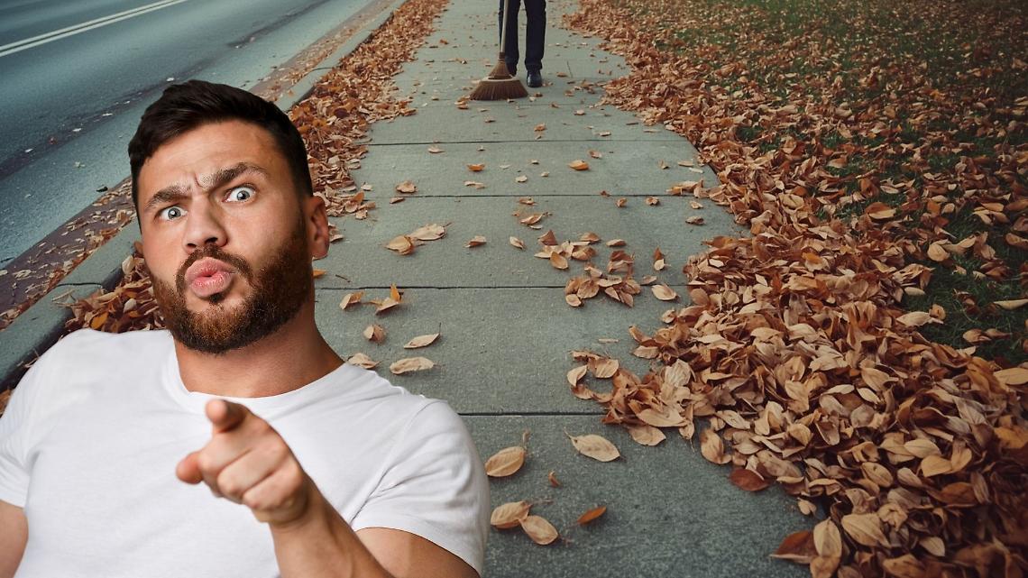 “Puliamo il tuo quartiere” è scomparso: il progetto sparisce e le strade si riempiono di foglie