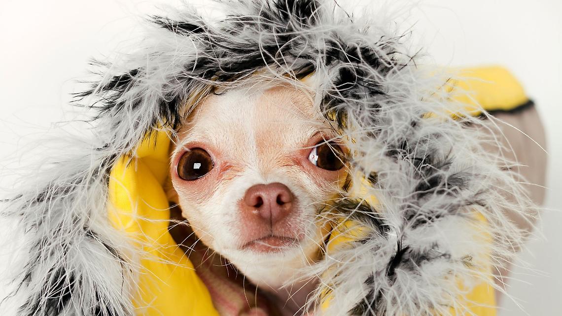 Si avvicina una nuova perturbazione dal Nord