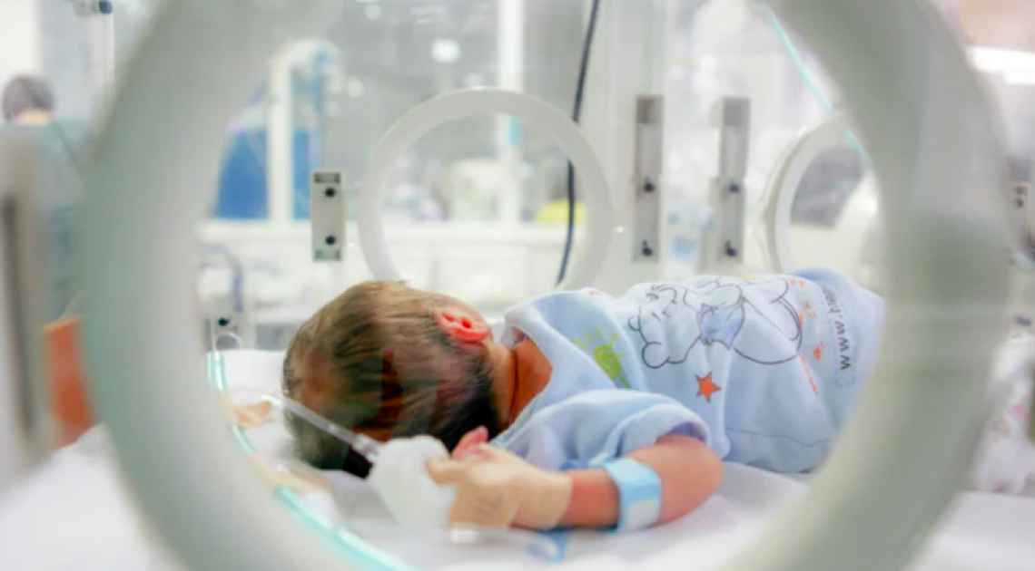 Neonata trovata nel water a Ciriè: arresto confermato per la madre. Ecco cosa ha detto al giudice