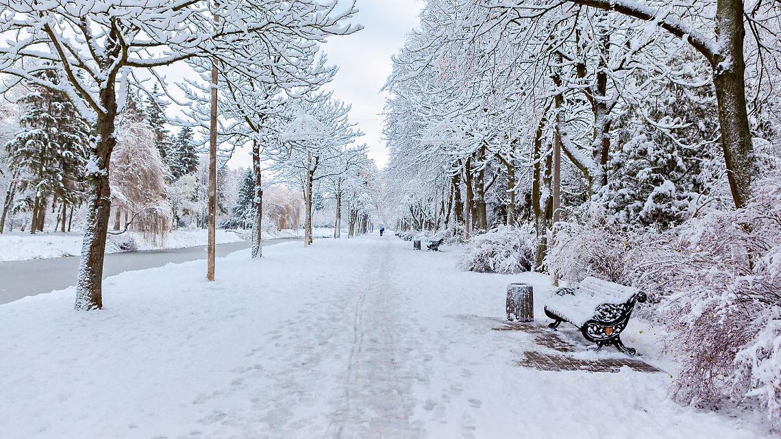 La nevicata del 1990 