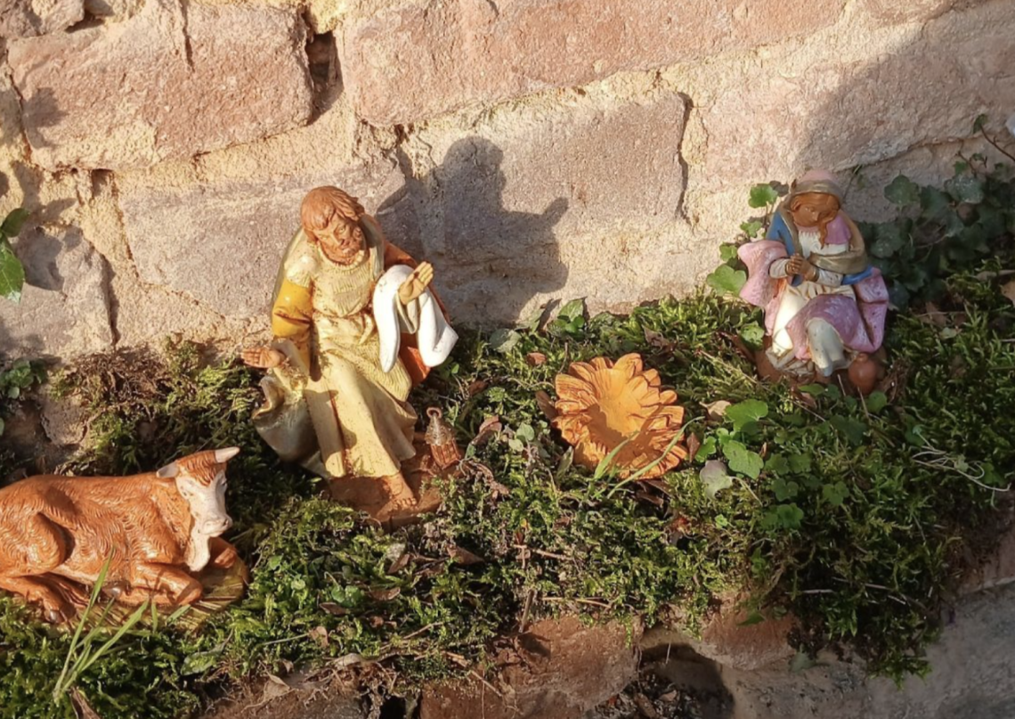 Casalborgone trasforma