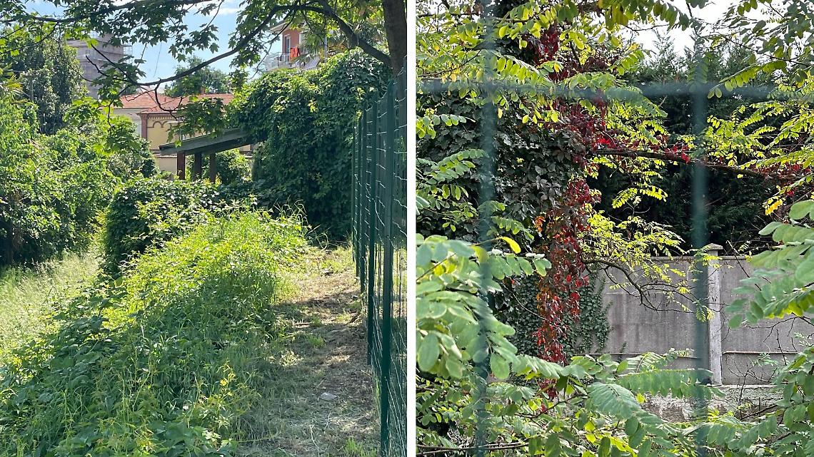 Dopo anni di abbandono qualcosa si muove