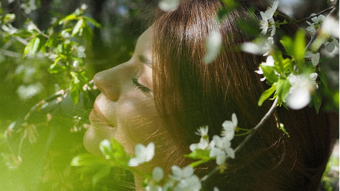 Venaria ottiene 1,26 milioni per trasformare la citt&agrave; in un&rsquo;area urbana pi&ugrave; sostenibile