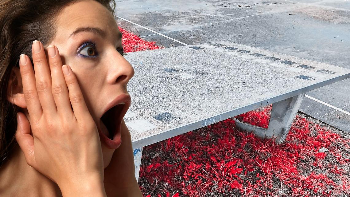 Vandalizzano un tavolo 