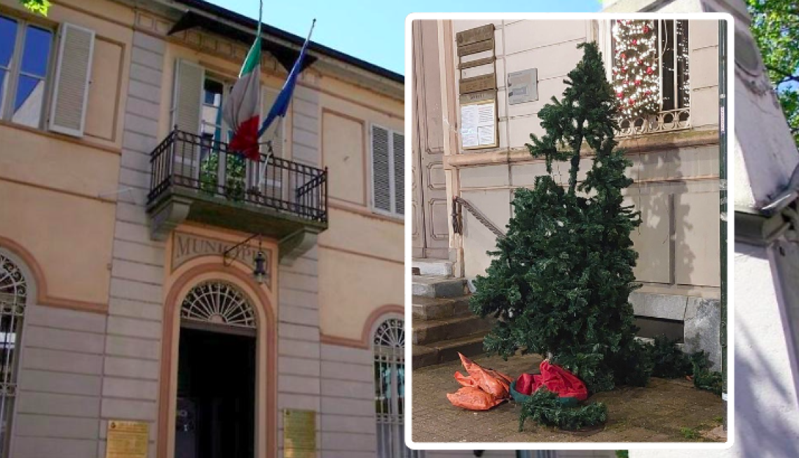 L'albero di Natale vandalizzato a Brandizzo