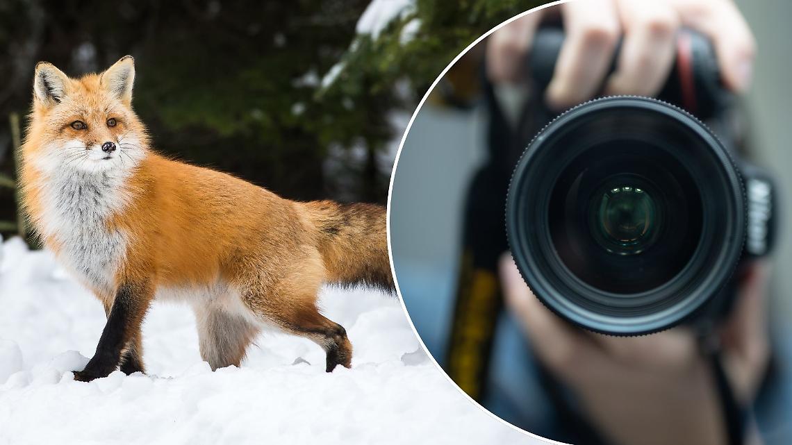 La natura continua a parlare: prosegue a San Mauro la mostra sulla fotografia naturalistica