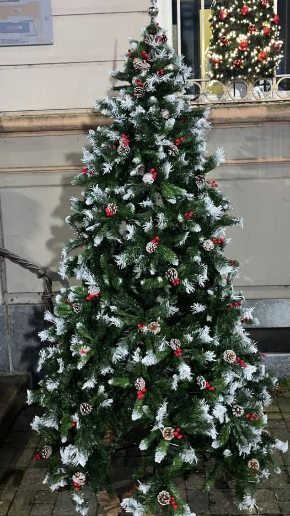 Nuovo albero di Natale