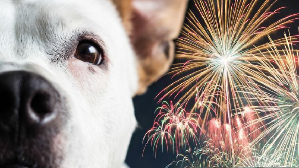 Capodanno senza botti a Leini: il divieto fa discutere, i cittadini chiedono pi&ugrave; controlli