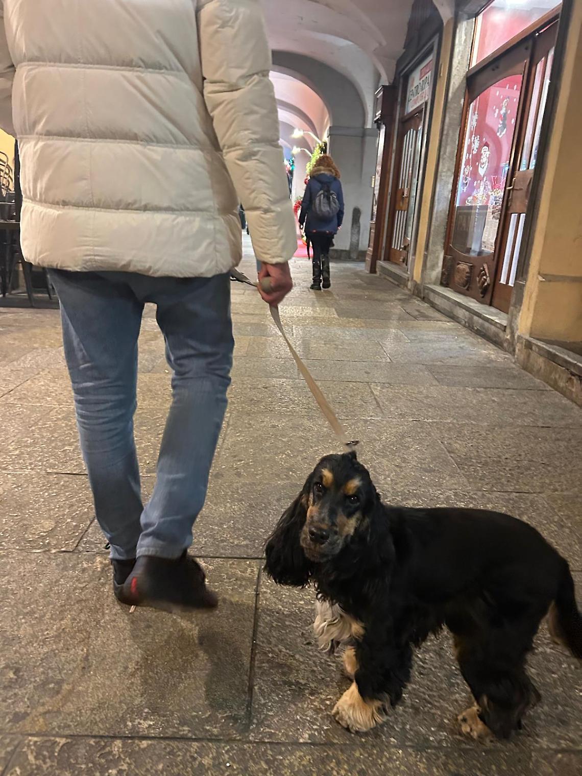 Guardie zoologiche, tra poteri e abusi: dopo il caso di Chivasso servono regole chiare e controlli veri