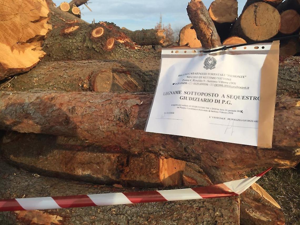 Alberi tagliati all&rsquo;ex Preventorio: l&rsquo;inchiesta verso la chiusura