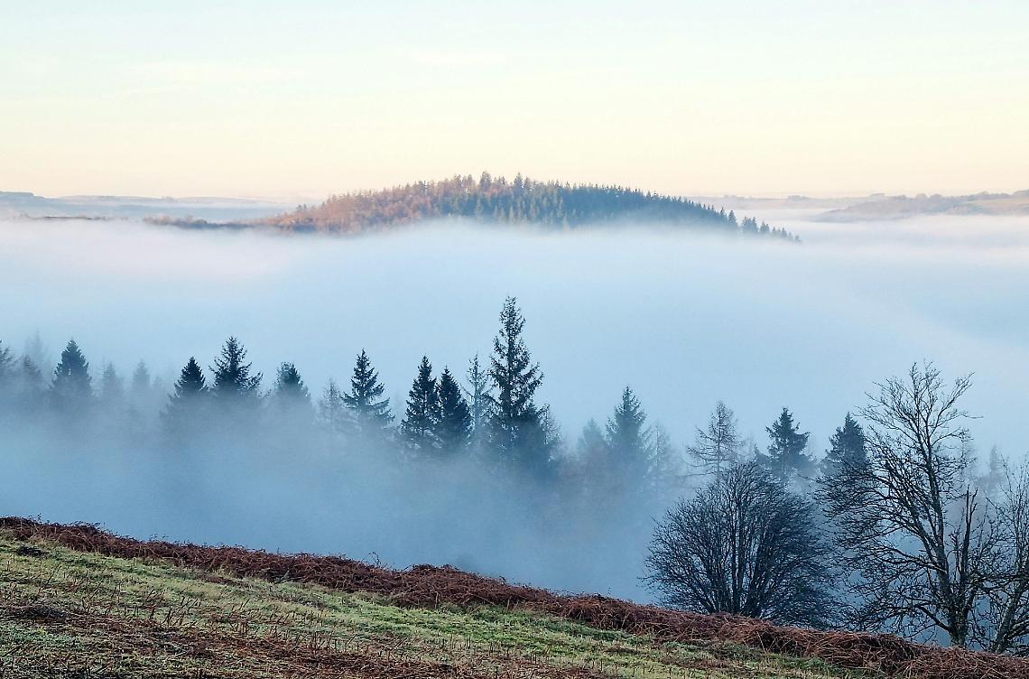 Freddo secco sul Piemonte: nebbia gelata e temperature in picchiata