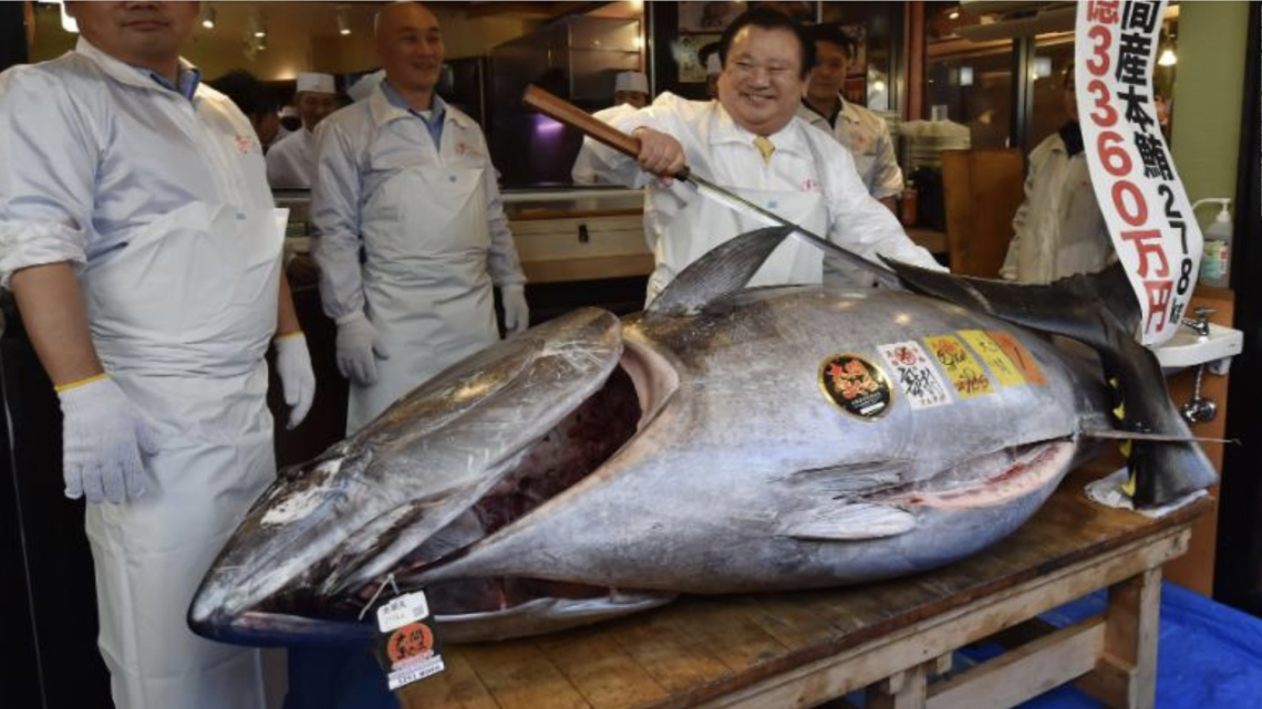 Un tonno da 3,2 milioni di dollari: follia o strategia?