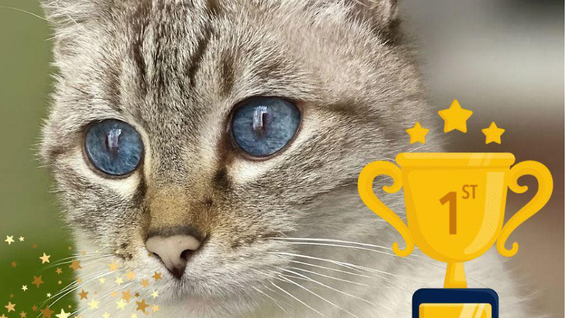 Protagonisti pelosi e opere dei bambini: a Leini le feste finiscono col sorriso