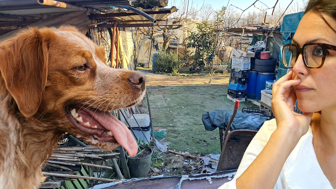 Il cane piangeva. La sindaca preparava il tiramis&ugrave; e le calze della befana