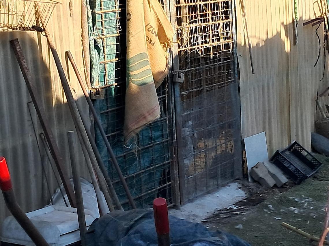 Carabinieri, polizia locale, Asl e volontari e quel cane dietro una gabbia