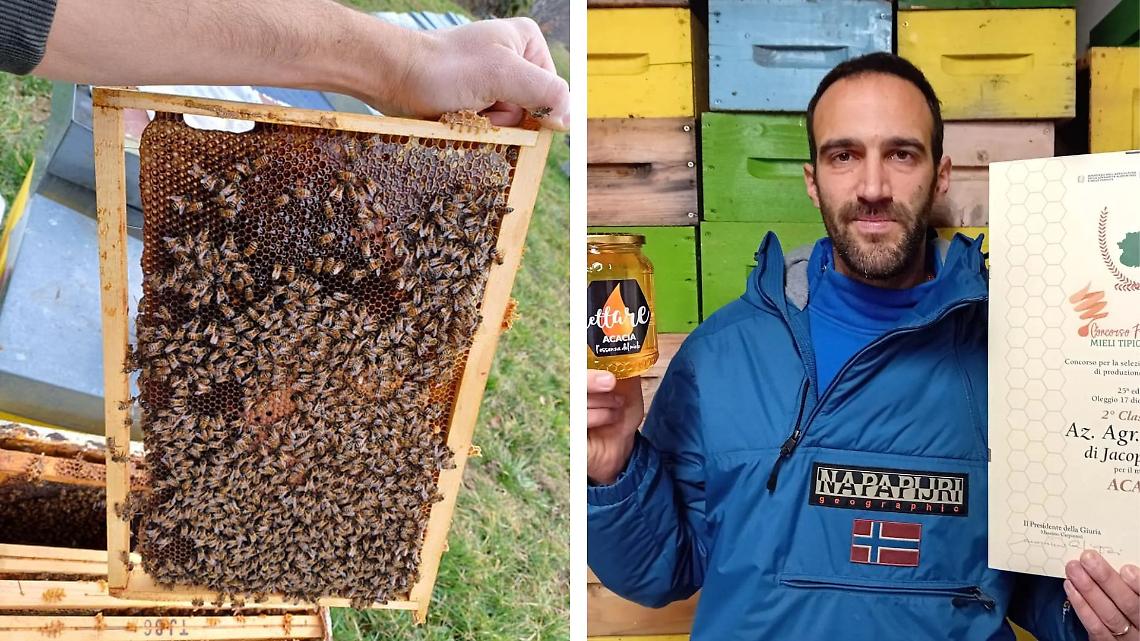 Il primo miele nato nei boschi certificati &egrave; della Valle Sacra: il Canavese apre una strada nuova