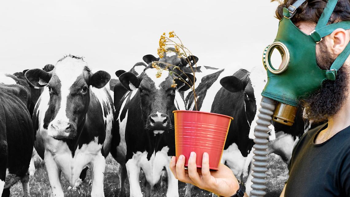 Se l&rsquo;aria &egrave; pi&ugrave; pulita con le stalle aperte, chi ha davvero inquinato finora le nostre citt&agrave;?