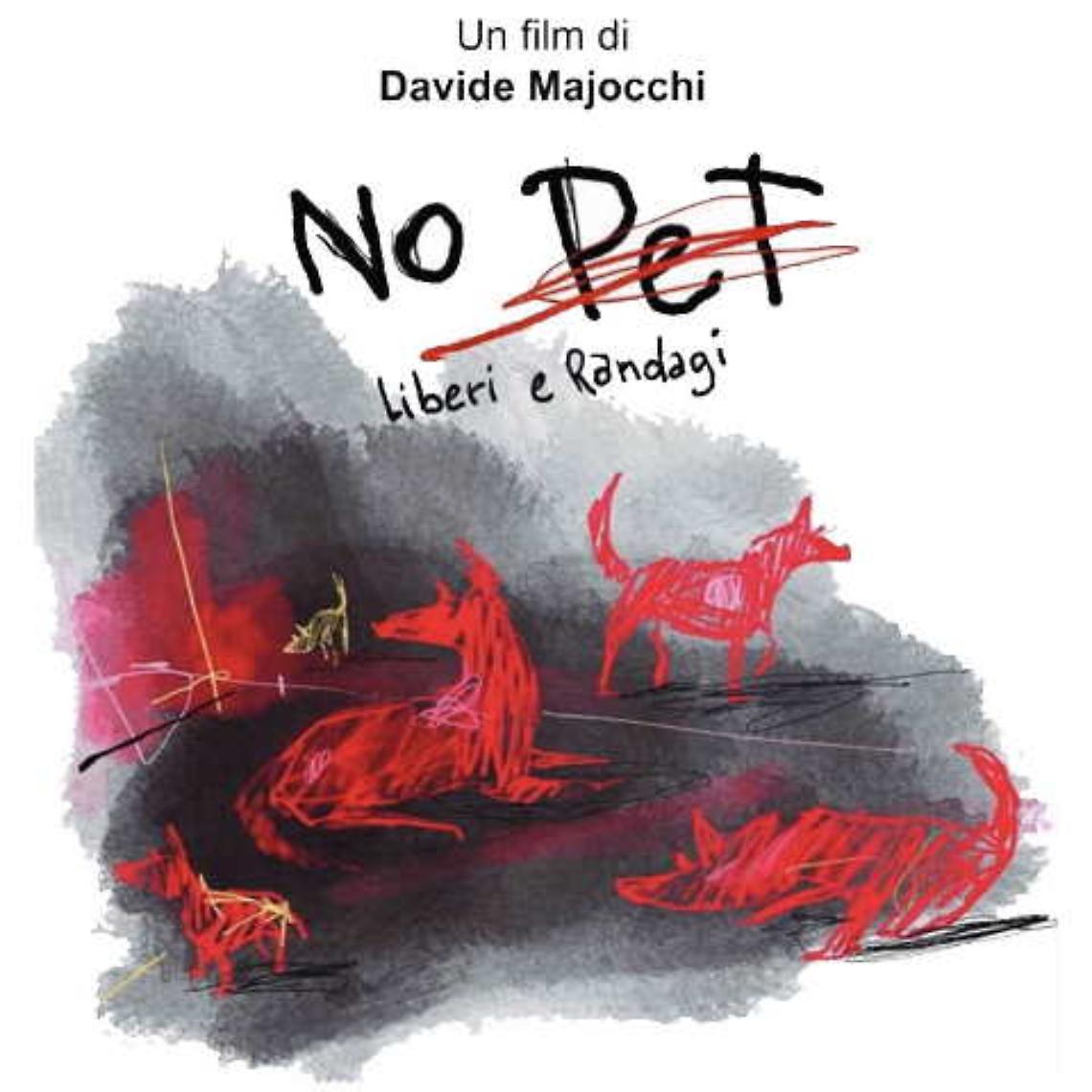 NOPet, liberi e randagi: quando il cinema mette in discussione l&rsquo;idea di possesso