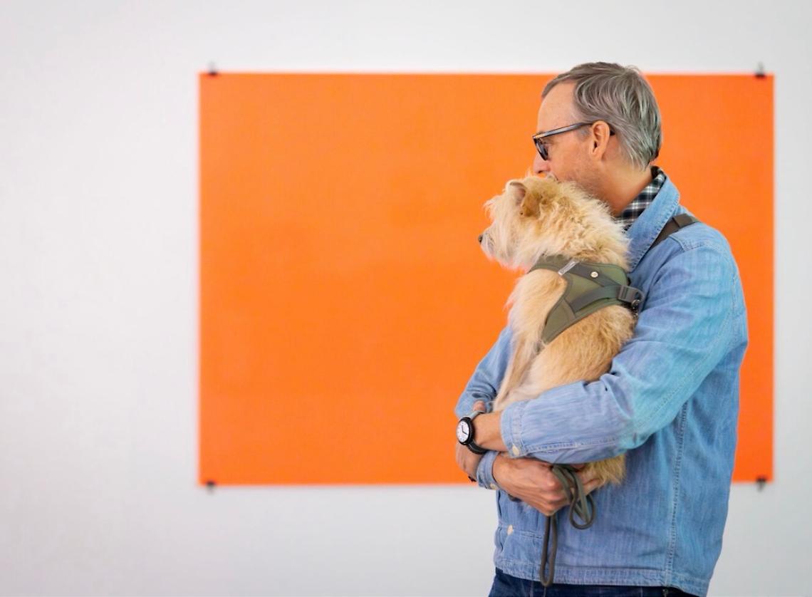 Cultura a quattro zampe